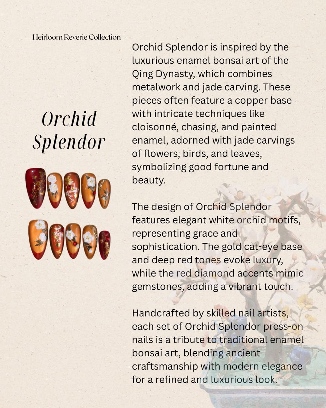 Orchid_Splender.jpg